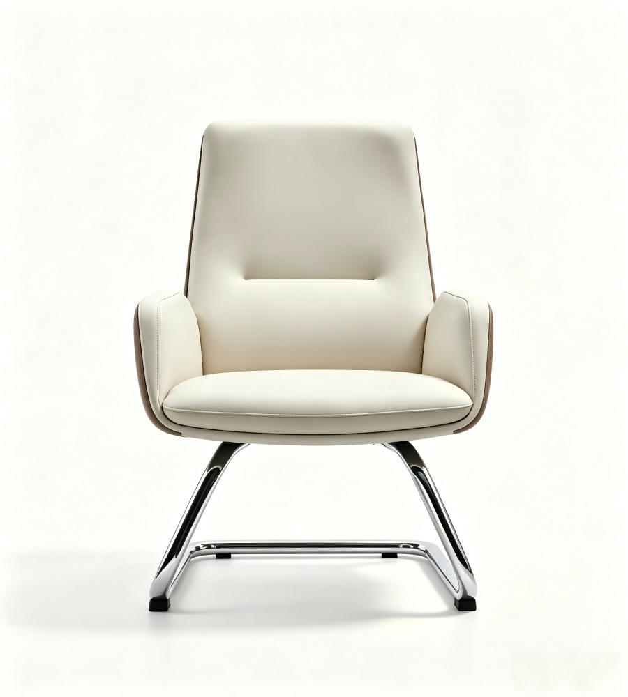 雙色弓形腳扶手會議椅	 Two-Tone Cantilever Conference Chair with Armrests
