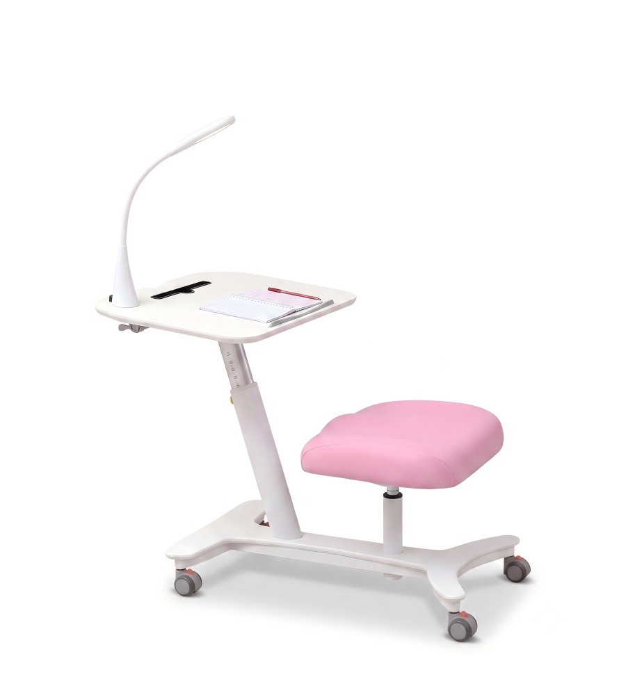 人體工學一體式升降學習枱 Ergonomic Maple Tilting All-in-One Kids Study Desk