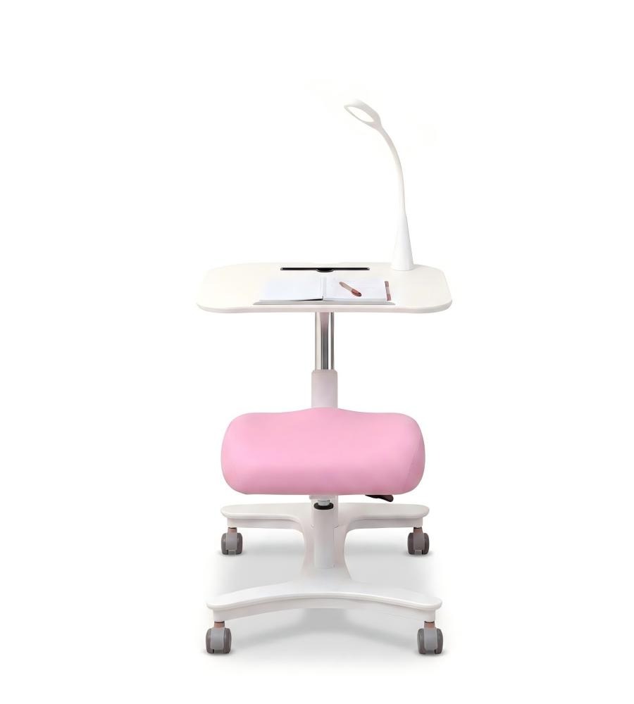 人體工學一體式升降學習枱 Ergonomic Maple Tilting All-in-One Kids Study Desk