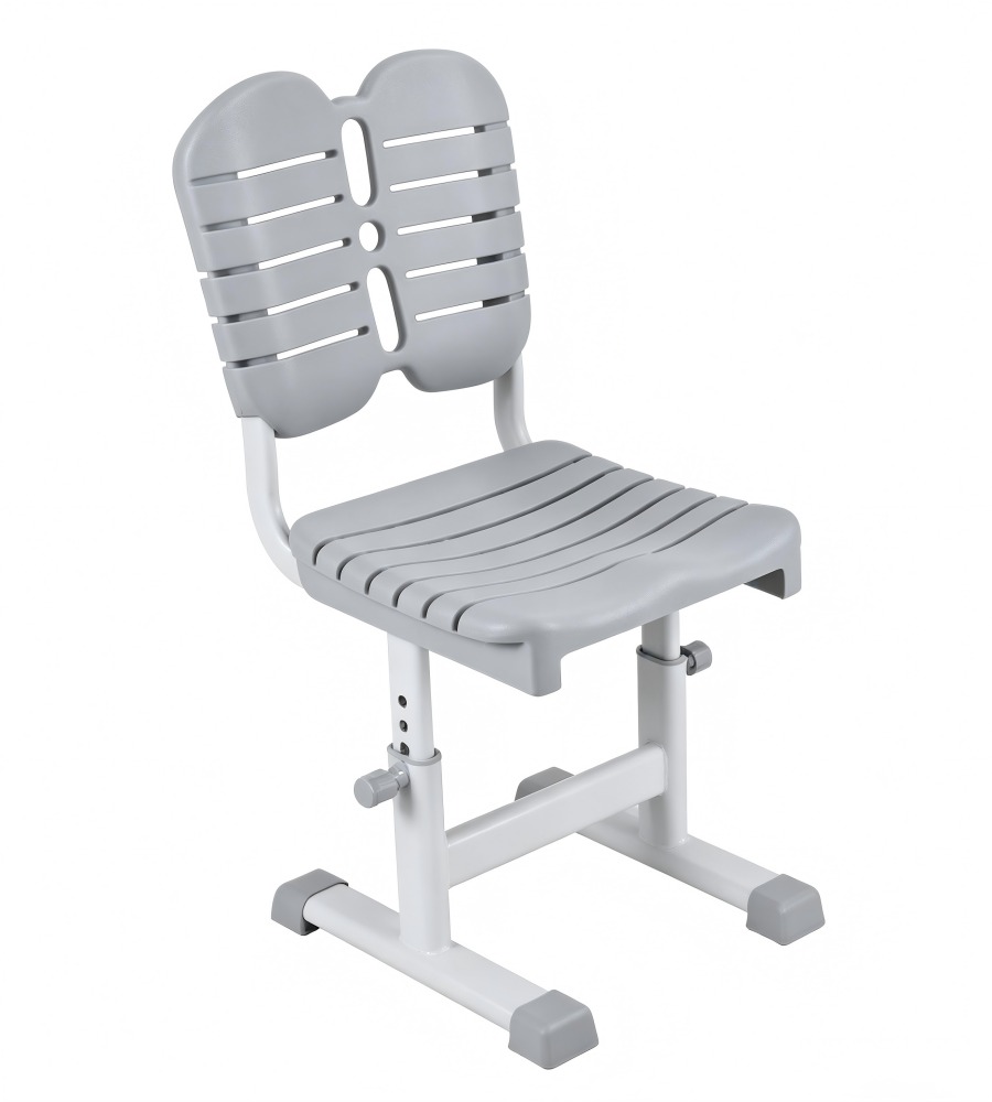 雙背式護脊調節椅 Dual-Backrest Ergonomic Adjustable Chair